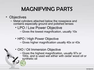 hpo magnification|Anatomy of the Microscope .